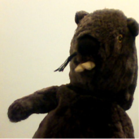 №131, Асан Эюпов, 2.11, Хайфа №131, Асан Эюпов, 2.11, Хайфа