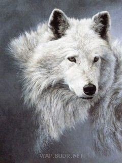 Алексей Бадров | Балахна