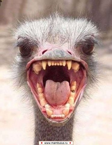 №27, Nikita Suvorov, 34 года №27, Nikita Suvorov, 34 года