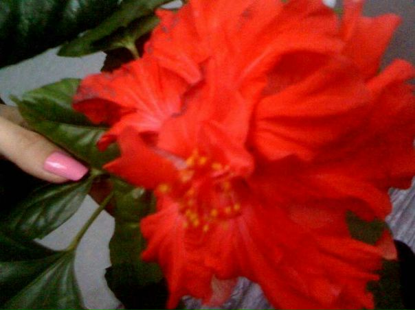 №26, Лилия Насырова, Казань, Россия №26, Лилия Насырова, Казань, Россия