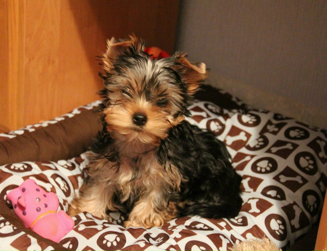 Михаил Бирюков Николаевич | Москва