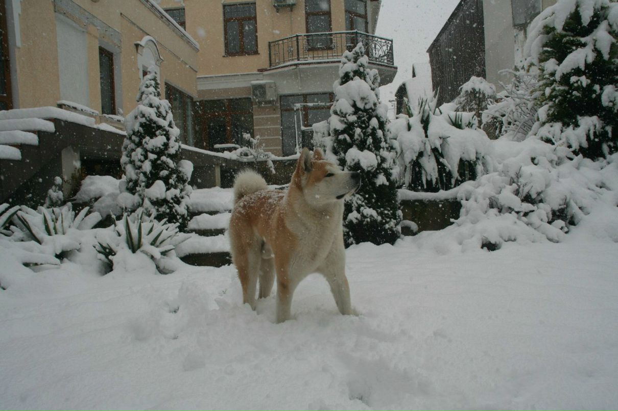 Максим Сабетьев Макс | Симферополь