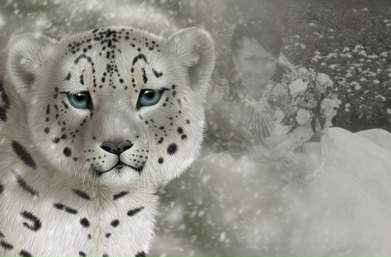 Анастасия Шатохина (Лопарева) | Донецк