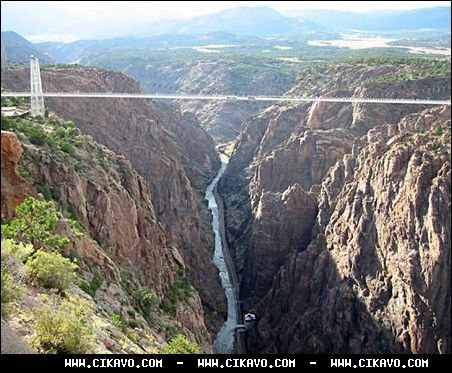 Олег Бідон | Львов