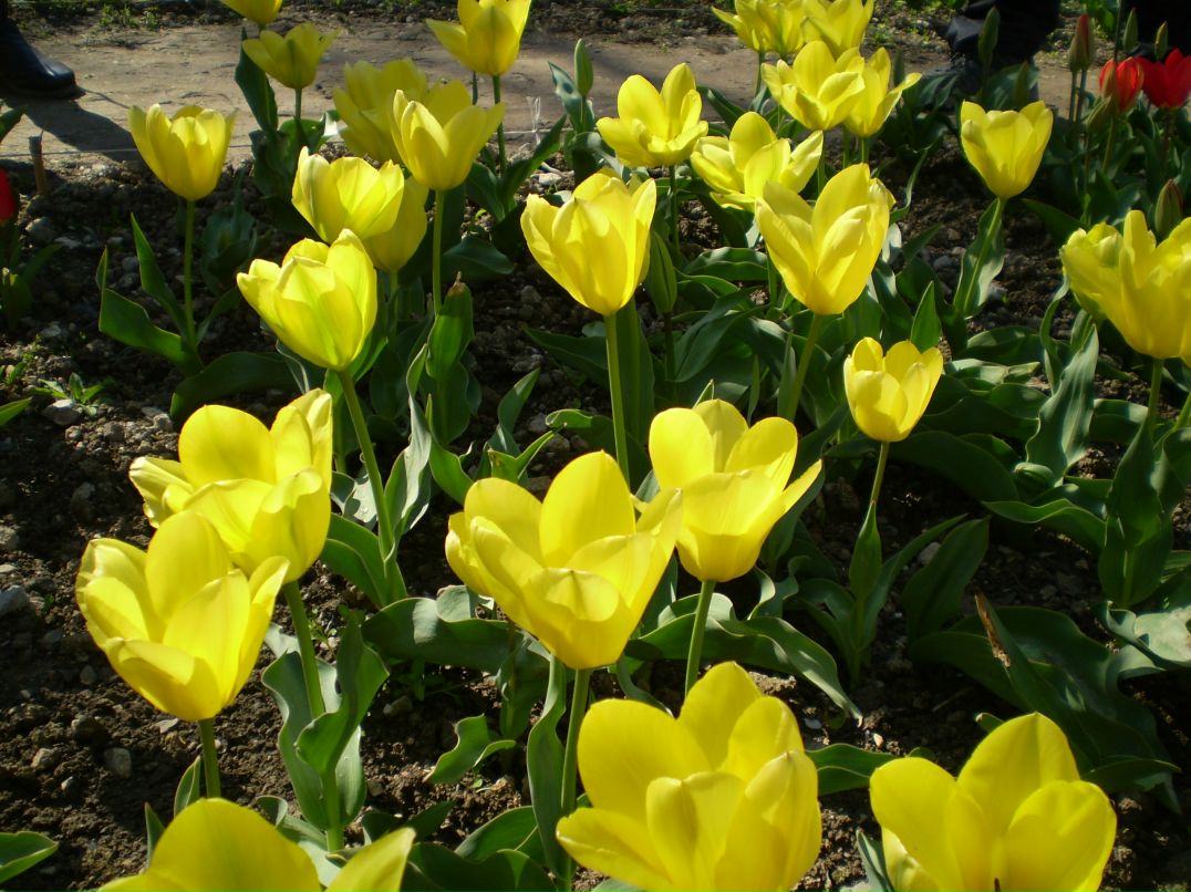 Ирина Тимощенко | Запорожье