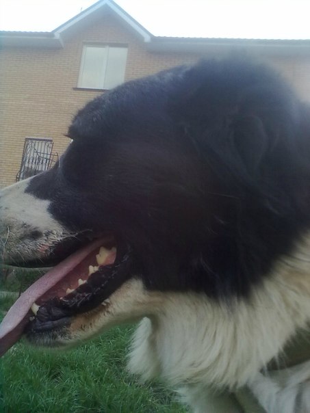 №34, Михаил Михайленко, 25 лет, Киев №34, Михаил Михайленко, 25 лет, Киев