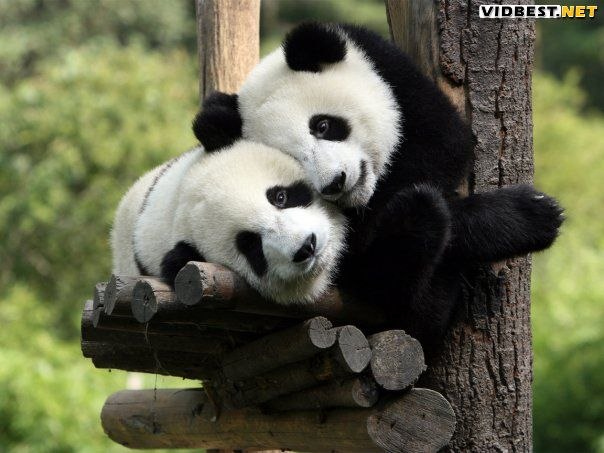 Валентина Балаева | Москва