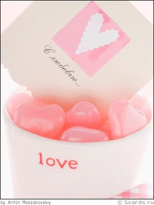 Вероника Шевчик | Минск