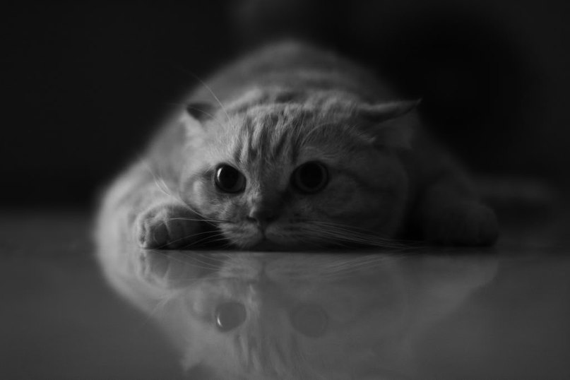 Денис Евтихиев | Москва