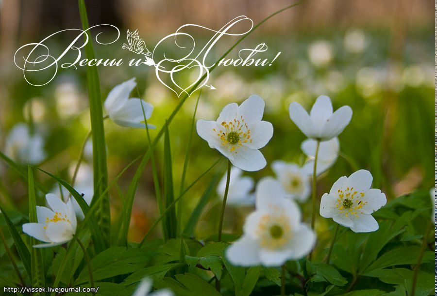 Ольга Ковалёва | Кимры