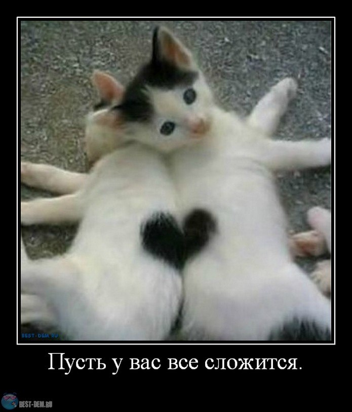 Сергей Твердохлеб | Керчь