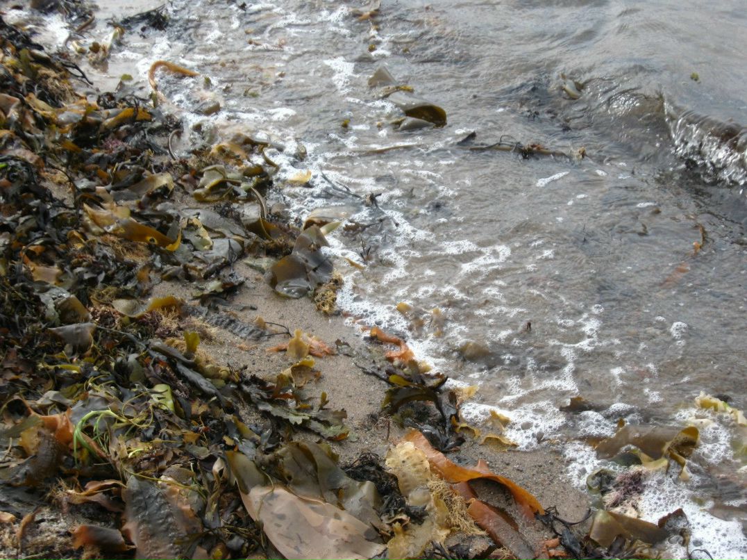 Василий Широкий | Санкт-Петербург