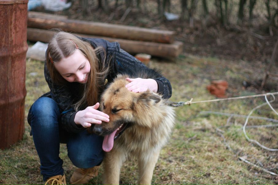 №43, Ленка Кузьменко, Ивано-Франковск №43, Ленка Кузьменко, Ивано-Франковск