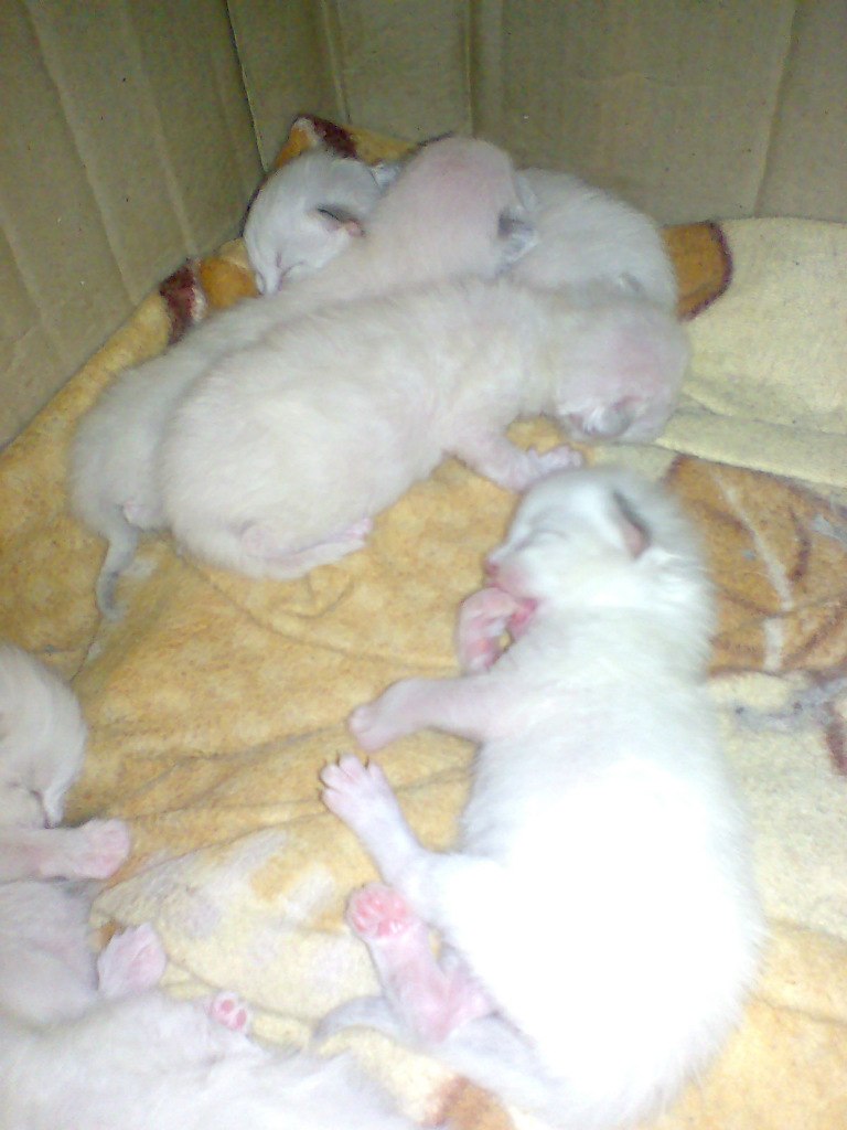 Марина Лебедева | 