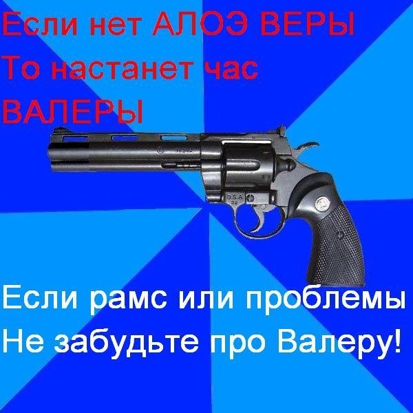 Богдан Девит | Запорожье