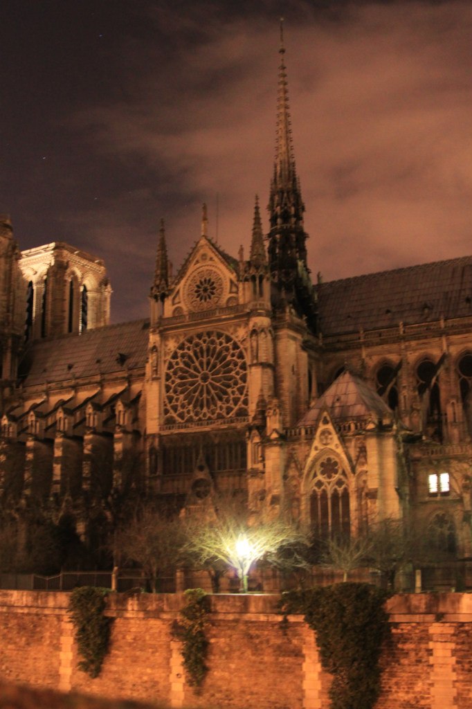 Павел Новиков | Санкт-Петербург