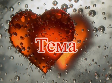 Артем Першин | Санкт-Петербург