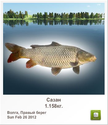 Иван Белозоров | Москва