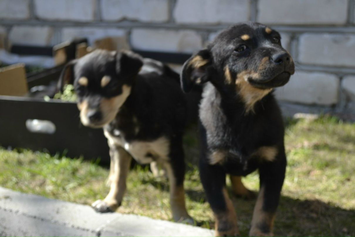 Наталия Исаева | 