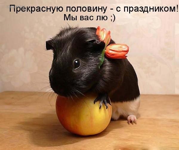 №29, Алексей Гордеев, Санкт-Петербург, Россия №29, Алексей Гордеев, Санкт-Петербург, Россия