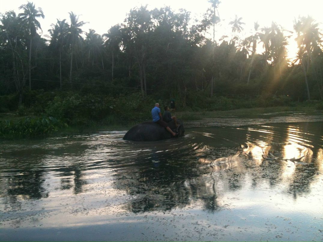 Юрий Лагута | Москва