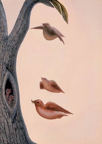 Алина Московиц | Санкт-Петербург
