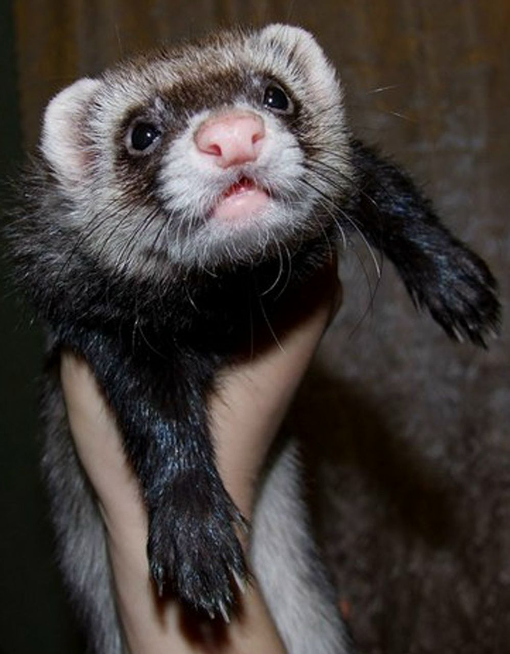 Дарья Жукова K@banchik | Тверь