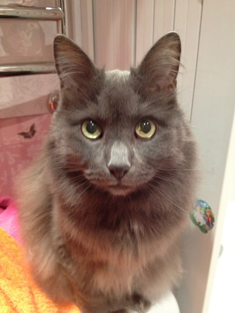 Иван Ахметов Абрамович | Москва