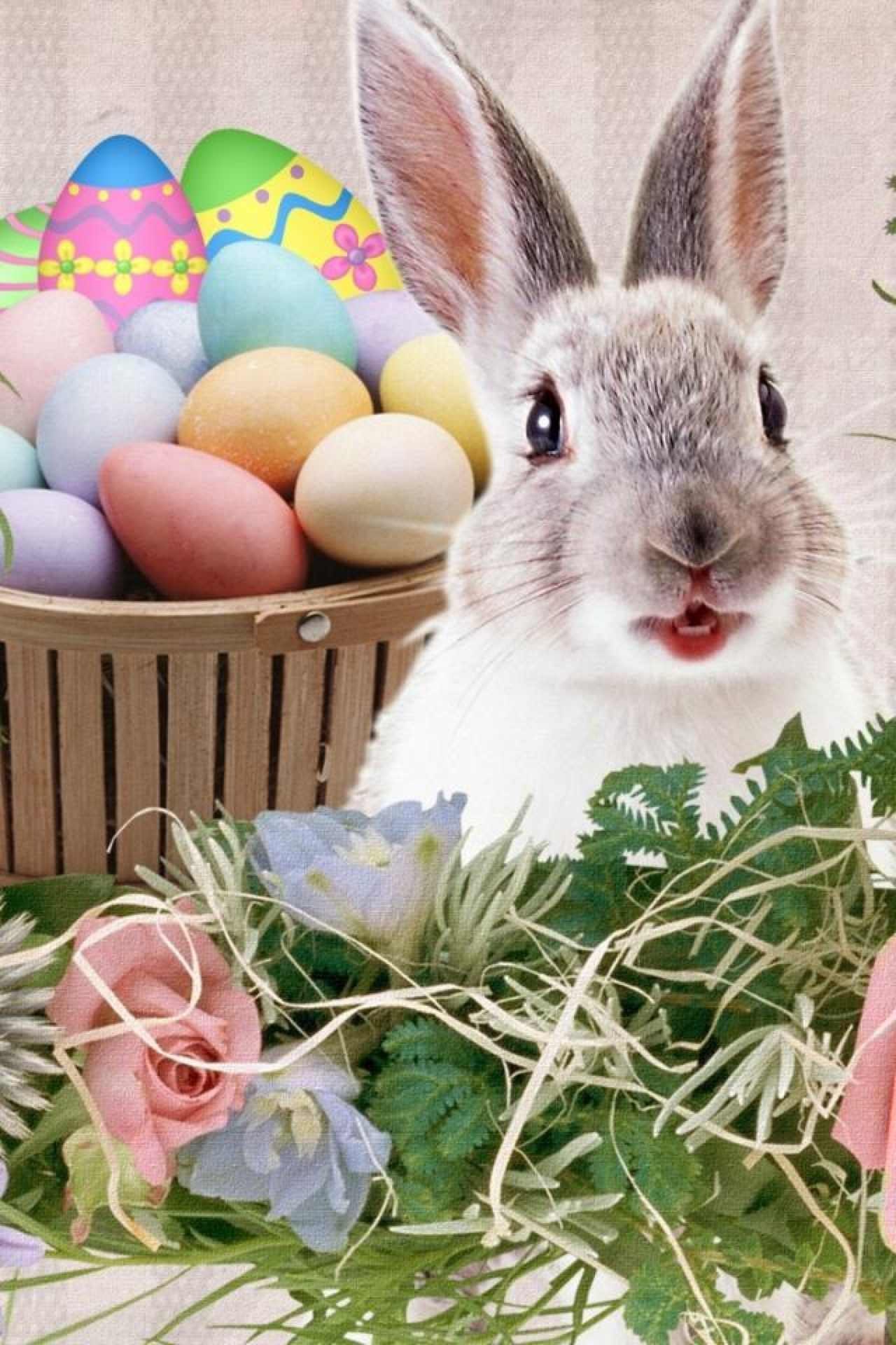 Юлия Салолмамадова | Удельная