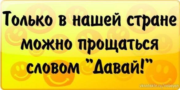 №1, Sardor Kamolov, Житомир №1, Sardor Kamolov, Житомир