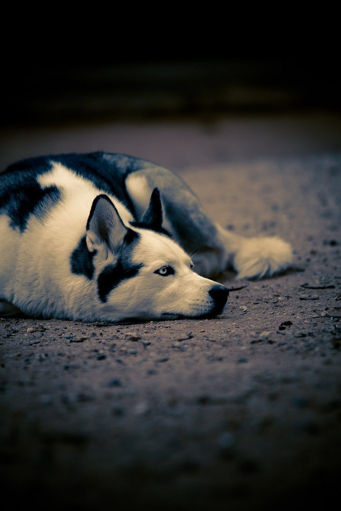 Евгений Юрий | Южноукраинск