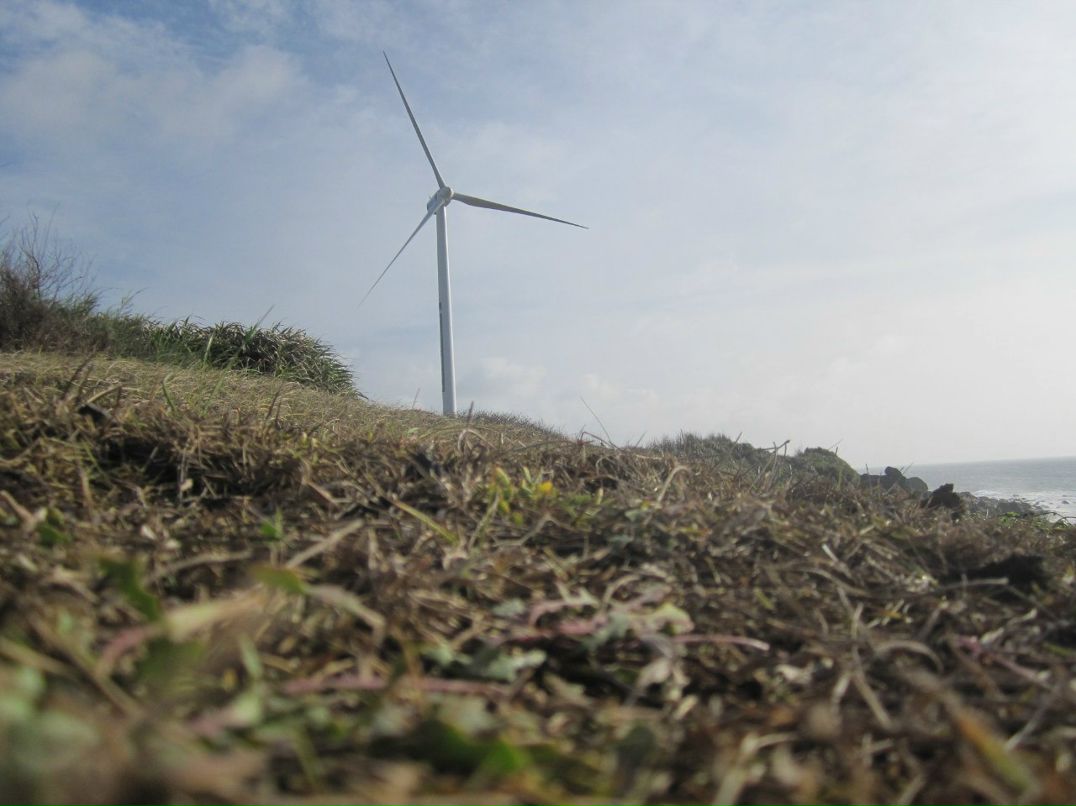 Лариса Моисеева | Сочи