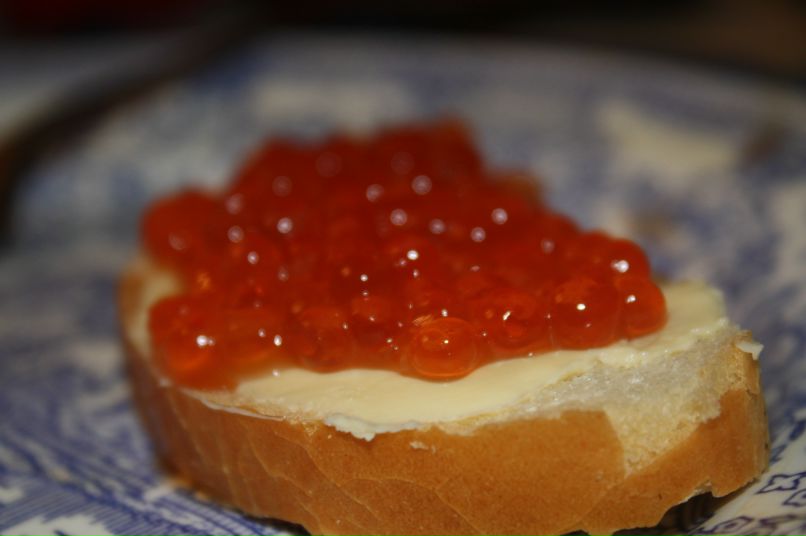 Елена Ладыщенко | Псков