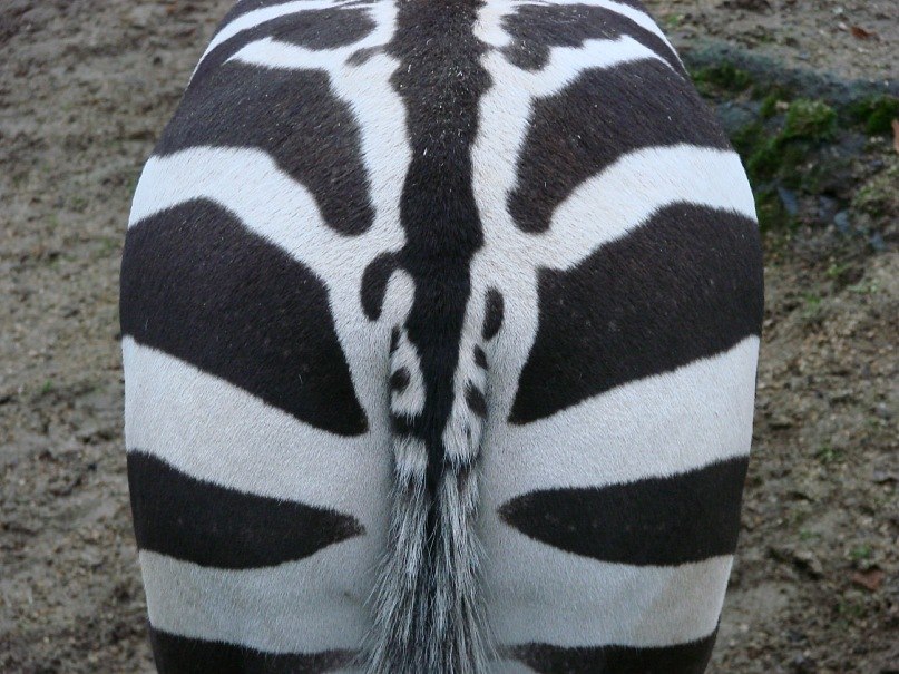 Максим Мамыкин | Москва