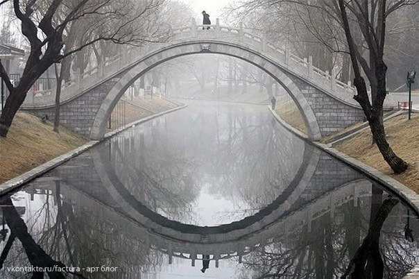 Игорь Битный | Киев