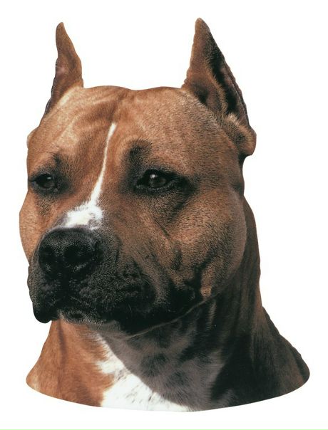 №1, Владик Никонов №1, Владик Никонов