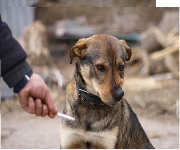 №18, Валентин Егоров, 41 год, Москва №18, Валентин Егоров, 41 год, Москва