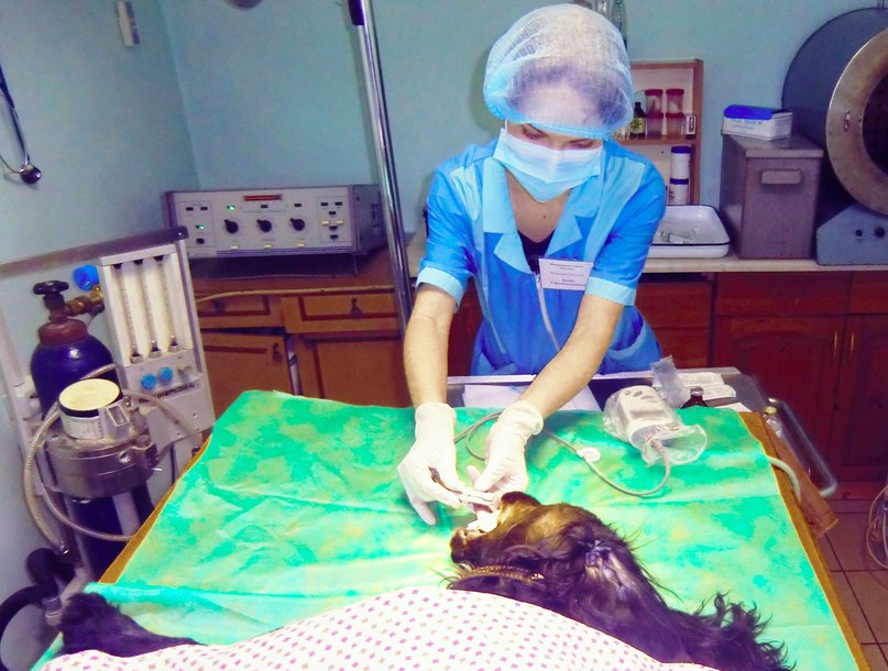 Софья Кирова ♥КởРởВКА♥ | Вологда