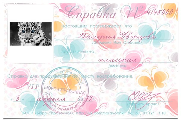 №100, Соня Мальованна, Александрия №100, Соня Мальованна, Александрия