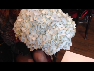 Video a day. Hydrangea