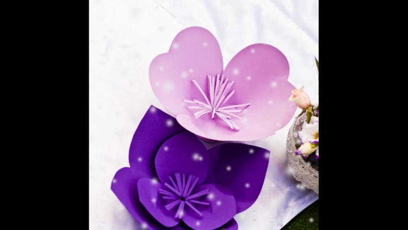 Darina Alexander. Happy New Year, My