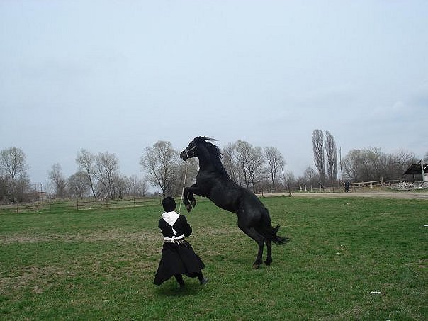 №1, Алим Нагоев, Нальчик №1, Алим Нагоев, Нальчик