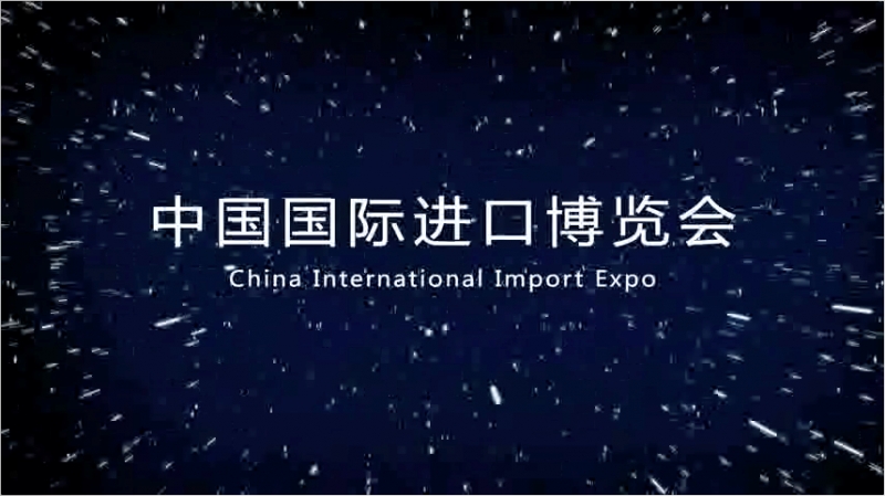 China International Import