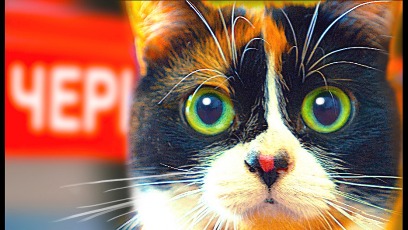 Slivki Show в ЧЕРНОБЫЛЕ часть