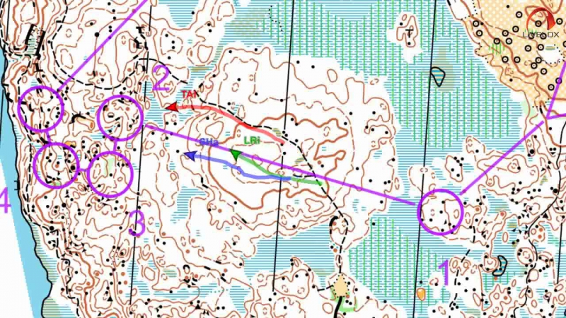 Чемпионат Швеции. Средняя дистанция. GPS tracking лидеров гонки: