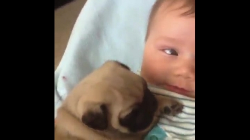 Warning: Cuteness