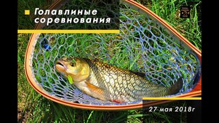 Турнир - TROPHY CHUB