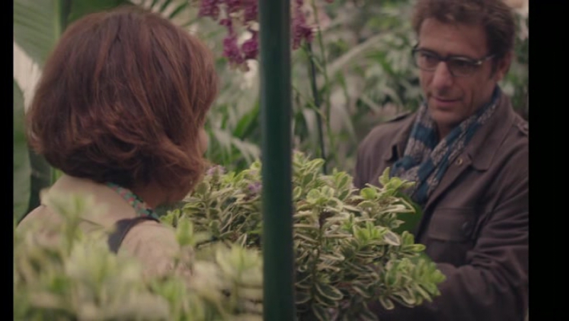 Il colore nascosto delle cose (2017) на