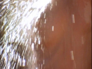 Playboy Video Playmate Calendar 1994