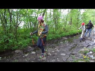 По каменной дорожке